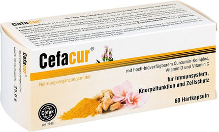 Cefacur Hartkapseln 60 Kapseln – Bild 1 von 1