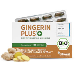 Cellavent Healthcare Gingerin PLUS Bio Ingwer Kapseln mit 22.000 mg Ingwerpulver pro Tagesdosis pflanzlicher Ursprung – Bild 1 von 3