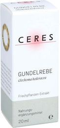 CERES Gundelrebe Glechoma hederacea Extrakt Tropfen 20 ml – Bild 1 von 1