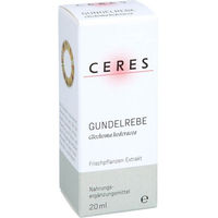 Produktbild von CERES Gundelrebe Glechoma hederacea Extrakt Tropfen 20 ml
