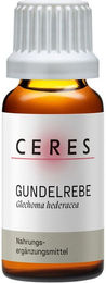 CERES Gundelrebe Glechoma hederacea Extrakt Tropfen – Bild 1 von 2