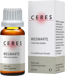 CERES Wegwarte Cichorium intybus Extrakt Tropfen 20 ml – Bild 1 von 1