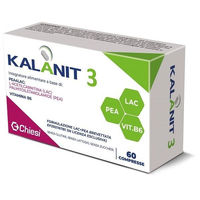 Produktbild von Chiesi Kalanit 3 Tabletten zuckerfrei glutenfrei laktosefrei 60 Stück