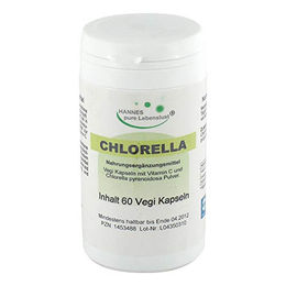 Chlorella G & M Naturwaren Kapseln vegan 500 mg – Bild 1 von 1
