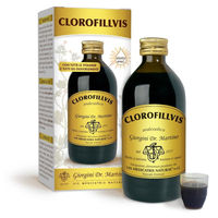 Produktbild von CHLOROPHYLLVIS Chlorophyll-Flüssigkeit alkoholfrei 200 ml