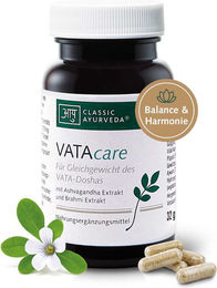 Classic Ayurveda VATAcare Kapseln – Bild 1 von 1