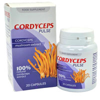 Produktbild von Cordyceps Pulse Cordyceps sinensis Extrakt Kapseln 20 Stück