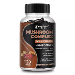 Daitea Mushroom Complex Nahrungsergänzungsmittel mit Pilzen 120 Kapseln – Bild 1 von 4