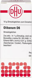 DHU Olibanum D6 Globuli 10 g – Bild 1 von 1
