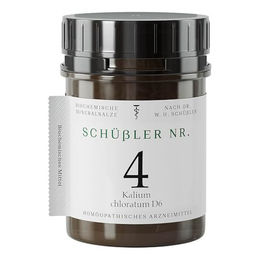 DHU Schüssler Nr. 4 Kalium chloratum D6 Tabletten 1000 Stück – Bild 1 von 1
