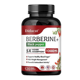 Didacat Berberin 1200 mg Kapseln 120 Stück – Bild 1 von 4