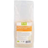 Produktbild von Doktor Groß Bio Flohsamenschalen Pulver 250 g