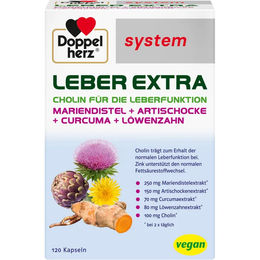 Doppelherz Leber Extra Kapseln mit Cholin vegan 120 Stück – Bild 1 von 2