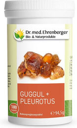 Dr. Ehrenberger Guggul + Pleurotus Kräuter-Komplex Kapseln – Bild 1 von 1
