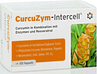Dr. Enzmann Curcuzym-Intercell Curcumin 100 Kapseln – Bild 1 von 1