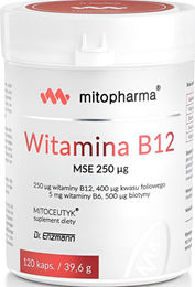 Dr. Enzmann Vitamin B12 MSE 250 Kapseln 120 Stück – Bild 1 von 1