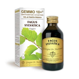 Dr. Giorgini Buche gemäßigt Flüssigkonzentrat alkoholfrei 100 ml – Bild 1 von 1