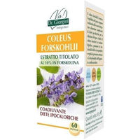 Produktbild von Dr. Giorgini Coleus forskohlii-Extrakt Tabletten vegan glutenfrei laktosefrei 60 Stück