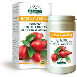 Dr. Giorgini Hagebutte Rosa Canina-Extrakt Vollspektrum Pulver 500 g – Bild 1 von 1