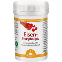 Produktbild von Dr. Jacob's Eisen-Phospholipid Mango Pulver liposomal vegan