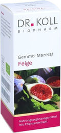 Dr. Koll Gemmo-Mazerat Feige Ficus carica Bio Tropfen 50 ml – Bild 1 von 3