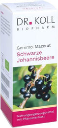 Dr. Koll Gemmo Mazerat Schwarze Johannisbeere Bio Tropfen 50 ml – Bild 1 von 2