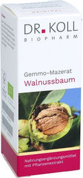 Dr. Koll Gemmo-Mazerat Walnussbaum Juglans reg. Tro. Tropfen 50 ml – Bild 1 von 1