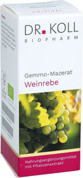 Dr. Koll Gemmo-Mazerat Weinrebe Vitis vinifera Bio Tropfen – Bild 1 von 3