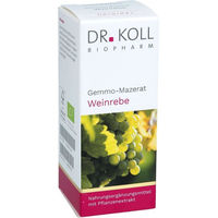 Produktbild von Dr. Koll Gemmo-Mazerat Weinrebe Vitis vinifera Bio Tropfen