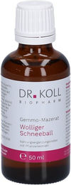 Dr. Koll Gemmo-Mazerat wolliger Schneeball Bio Tropfen 50 ml – Bild 1 von 2