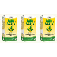Produktbild von Dr. Metz Minactiv Mineralstoff-Komplex Pulver Bio Laktosefrei Vegetarisch