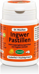 Dr. Muches Ingwer Pastillen zuckerfrei 27 g – Bild 1 von 2