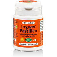 Produktbild von Dr. Muches Ingwer Pastillen zuckerfrei 27 g