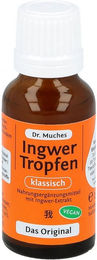 Dr. Muches Ingwertropfen alkoholfrei 20 ml – Bild 1 von 3