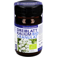 Produktbild von Dr. Pandalis Kalium Pulver Bio 45 g