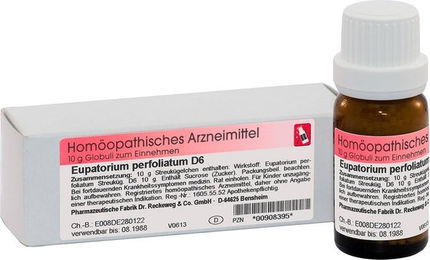 Dr. Reckeweg Eupatorium perfoliatum D6 Globuli – Bild 1 von 1