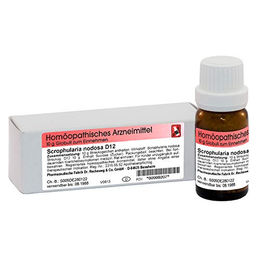 Dr. Reckeweg Scrophularia Nodosa D 12 Globuli 10 g – Bild 1 von 1