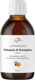 Dr. Selz Liposomaler Vitamin-B Komplex Flüssig – Bild 1 von 1