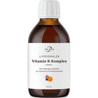 Produktbild von Dr. Selz Liposomaler Vitamin-B Komplex Flüssig