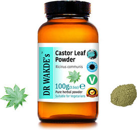 DR WAKDE'S Castor Blätter Pulver Ricinus communis 100 g Vegan – Bild 1 von 2