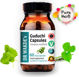 DR WAKDE'S Guduchi Kapseln Tinospora cordifolia 500 mg 60 vegane Kapseln ohne Zusatzstoffe – Bild 1 von 13