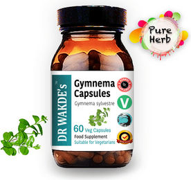 DR WAKDE'S Gymnema Kapseln Gudmar Vegan 60 Kapseln – Bild 1 von 3
