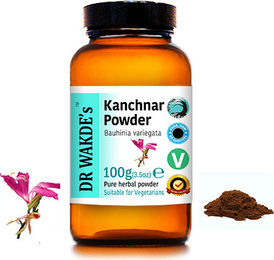 DR WAKDE'S Kanchnar Pulver Bauhinia variegata 100 g Vegan – Bild 1 von 3