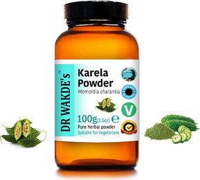 DR WAKDE'S Karela Pulver Bitterer Kürbis Vegan 100 g – Bild 1 von 3