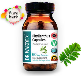 DR WAKDE'S Phyllanthus Kapseln Bhumi-amla Bhumyamalaki Ayurveda-Supplement Vegan 60 Kapseln – Bild 1 von 13