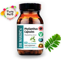 Produktbild von DR WAKDE'S Phyllanthus Kapseln Bhumi-amla Bhumyamalaki Ayurveda-Supplement Vegan 60 Kapseln
