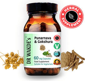 DR WAKDE'S Punarnava & Gokshura Kräuter-Komplex Kapseln Vegan 60 Stück – Bild 1 von 13