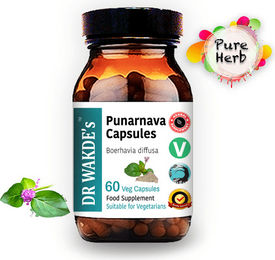 DR WAKDE'S Punarnava Kapseln mit Boerhavia diffusa, 60 vegane Kapseln, Ayurveda-Supplement ohne Zusatzstoffe – Bild 1 von 4