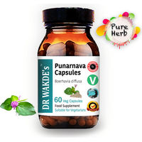 Produktbild von DR WAKDE'S Punarnava Kapseln mit Boerhavia diffusa, 60 vegane Kapseln, Ayurveda-Supplement ohne Zusatzstoffe