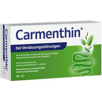 Produktbild von Dr. Willmar Schwabe Carmenthin Weichkapseln ohne Zusatzstoffe 42 Stück